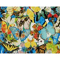 Алмазна вишивка. Картина на підрамнику Барвисті метелики, розмір 40х50 см