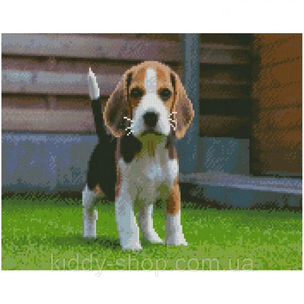 Алмазна вишивка. Картина на підрамнику Маленький Бігль, розмір 40х50 см, фото 1