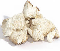Агарикус гриб сушеный - 100 грамм