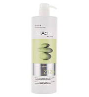 Шампунь проти жирного волосся Erayba Z12b Cleansing Shampoo, 1000 мл.