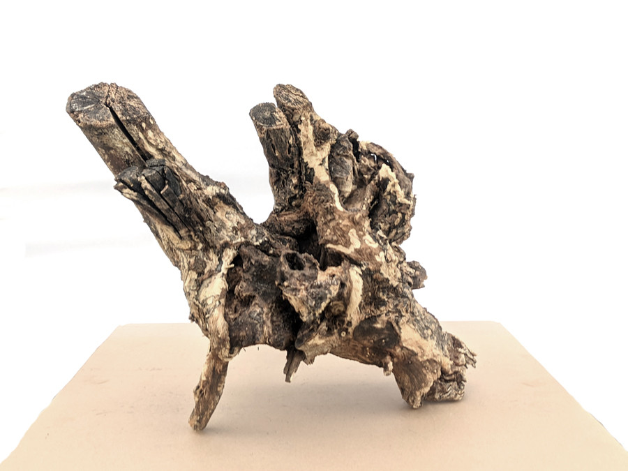 Коряга в Аквариум / Террариум - Натуральная Природная Декорация (0323 ...