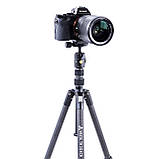 Штатив Vanguard Vesta TB 204CB (Vesta TB 204CB), фото 8
