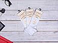 Чоловічі короткі шкарпетки Jel Moud модал, літні однотонні на кожен день, без шва, розмір 42-44,12 пар/уп. білі, фото 2