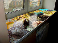 Покрытие силиконовое для подоконника, мягкое стекло с фото принтом 60 х 160 см