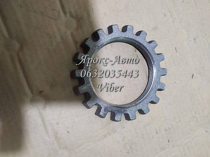 Гайка М80 (осі балансира п/причепа) МАЗ 000033231