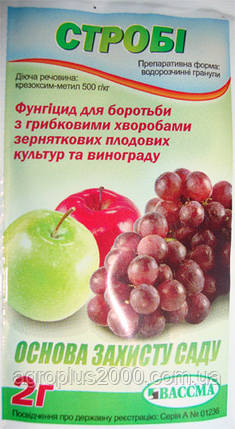 Фунгіцид Стробі 2 грами BASF Вассма Ритейл, фото 2