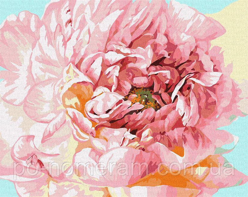 Акційна Розмальовки за номерами Ідейка Ніжна півонія (KHO2996) 40 х 50 см, фото 1