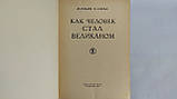 Іллін М., Сегал. Е. Як людина стала велетнім (б/у)., фото 5