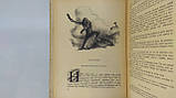 Іллін М., Сегал. Е. Як людина стала велетнім (б/у)., фото 6