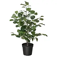 FEJKA (005.229.76) Искусственное комнатное растение , 15 cm