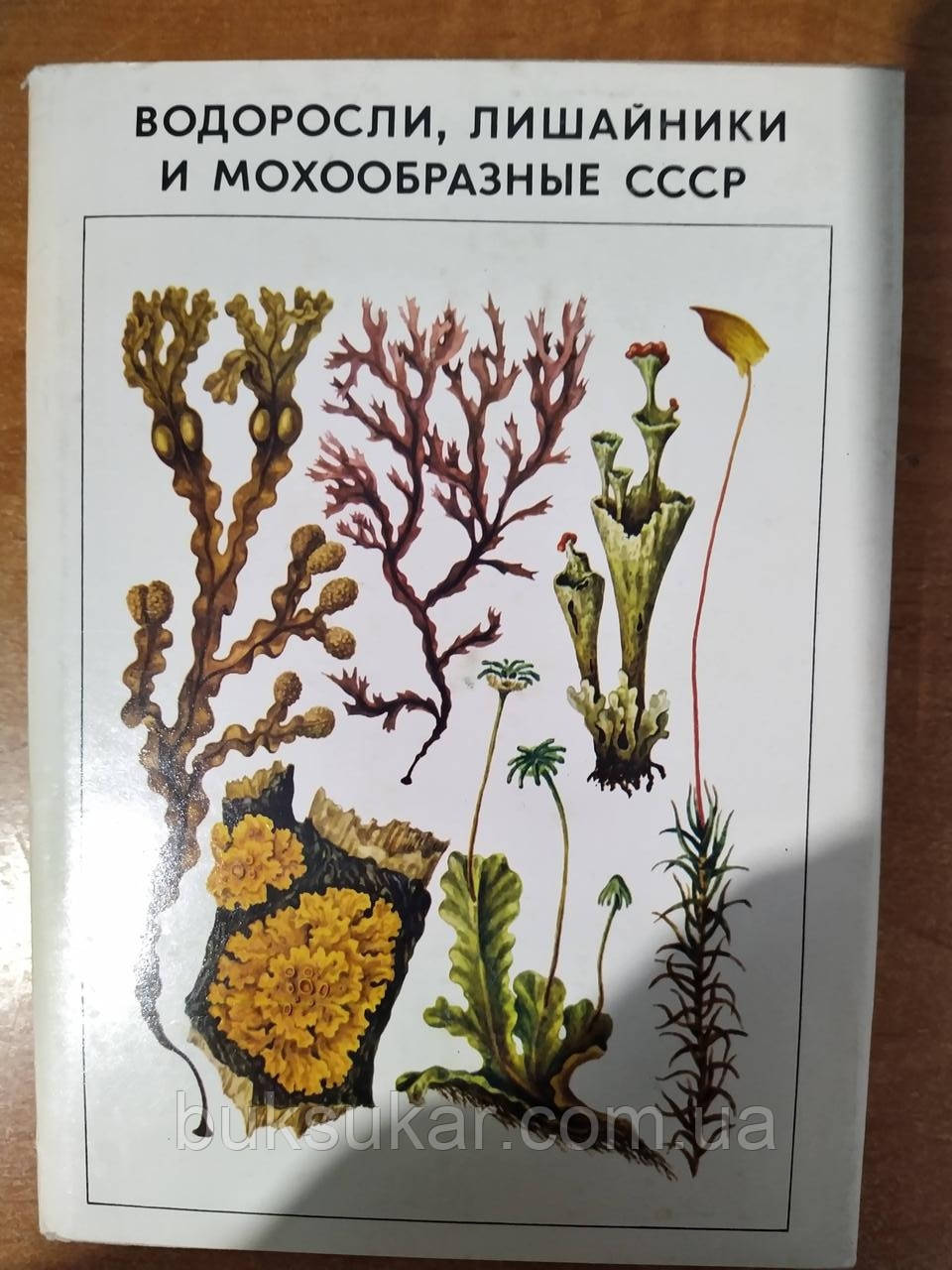 Книга Водорості, лишайники та мохоподібні СРСР, фото 1