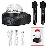 SDRD SD-308 караоке система для дому на два мікрофони з квітчастою і Вluetooth — Чорний, фото 3