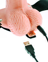 Порожний страпон із вібрацією Pipedream Fetish Fantasy 6" Hollow Rechargeable Strap-On Remote AIW Or1720, фото 4