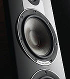 Акустична пара DALI Epicon 6 White High Gloss, фото 4