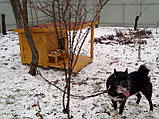 Дерев'яна будка з навісом для собаки LNK для великих порід (100*120*75 см) (ДБС-111), фото 5