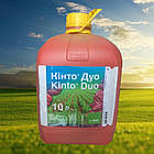 Протруйник  Кінто Дуо, КС    (  BASF )  10 л.