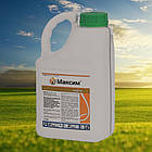 Протруйник Максим 025 FS т.к.с.   (  SYNGENTA  )   5 л.