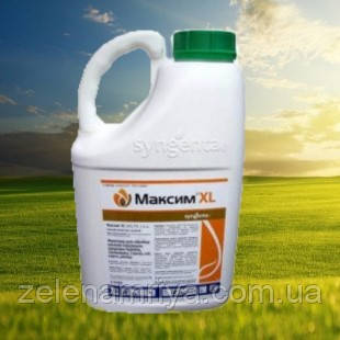 Протруйник Максим XL 035 FS т.к.с   (  SYNGENTA  )   5 л.