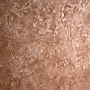 Декоративна штукатурка оксамит ASSIRIA DECO TERRA (Срібна база) 1кг, фото 4