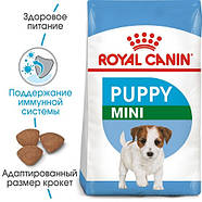 Royal Canin Dog Mini Puppy (Роял Канін Дог Міні Паппі), фото 2