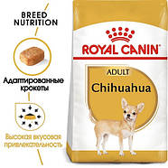 Сухий корм Royal Canin Chihuahua Adult (Роял Канін Чихуахуа) для дорослих собак 1.5 кг, фото 2