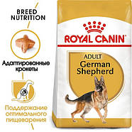 Royal Canin Dog German Shepherd (Німецька вівчарка Роял Канін) Adult сухий корм для дорослих собак, 11 кг, фото 2