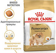 Royal Canin Dog Pomeranian Adult (Роял Канін Померанський шпіц) для дорослих собак 500г, фото 2