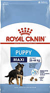 Royal Canin Dog Maxi Puppy (Роял Канін Максі Паппі) - Повнораціонний сухий корм для цуценят великих розмірів 15 кг, фото 2