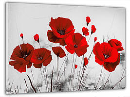 Картина на полотні на стіну для інтер`єру/спальні/прихожої DK Червоні маки 60x100 см (MK10159_M)
