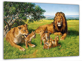 Картина на полотні на стіну для інтер`єру/спальні/прихожої DK Сімейство левів 60x100 см (MK10090_M)