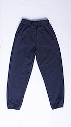 Спортивні штани підліткові для хлопчика (код 2420)