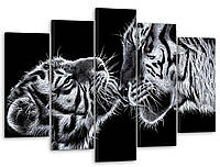 Модульная картина на холсте на стену для интерьера/спальни/офиса DK Черно-белые тигры 80x125 см (MK50228)