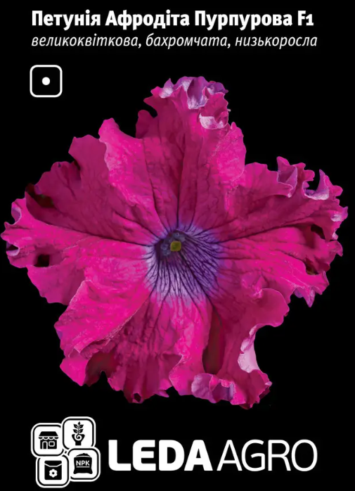 Петунія Афродіта Пурпурова F1, великоквіткова 50 шт (Leda Agro), фото 1