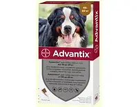Bayer (Байер) Адвантикс - для собак 40-60кг (упаковка 4 пипетки, цена за 1 шт)