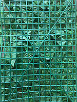 Фітомодуль "Молоде Листя" 60х40 см. Висота 5 см, фото 5