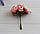 Квіти "Камелія" бежево - рожеві 60 шт, фото 2