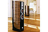 Акустична пара DALI Epicon 6 Walnut High Gloss, фото 6