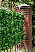 Озелення інтер'єру Фітостіна, фото 6