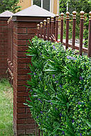 Фітостіна 100х100 см. Висота 12 см, фото 8