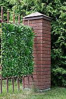 Озелення інтер'єру Фітостіна, фото 9