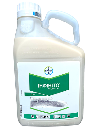 Фунгіцид Інфініто Bayer - 5 л, фото 3