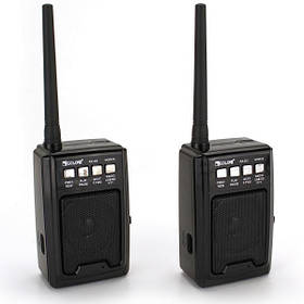 Радіо з функцією рації PTT USB SD Golon RX-D3 (2шт)