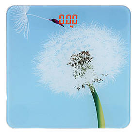 Ваги підлогові скляні (квадратні) на 180 кг Domotec MS-2019 Кульбаба (5381)