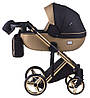 Коляска 2 в 1 Adamex Luciano Polar (Gold) Y828 золотий (шкіра) - чорний, фото 2