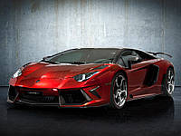 MANSORY Bodykit (style) CARBON for Lamborghini Aventador