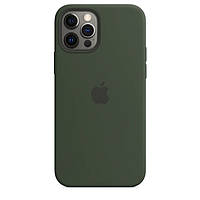 Чохол Silicone Case with MagSafe & SplashScreen iPhone 12 Pro Max Cyprus Green