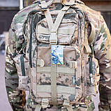 Рюкзак тактичний військовий ACCORD 36 темно-бежевий камуфляж, фото 2