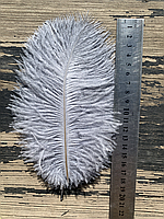 Перо страуса 15-20 см (светло серые)