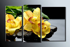 Картина модульна HolstArt Жовті орхідеї 54x85 см 3 модулі арт.HAT-014
