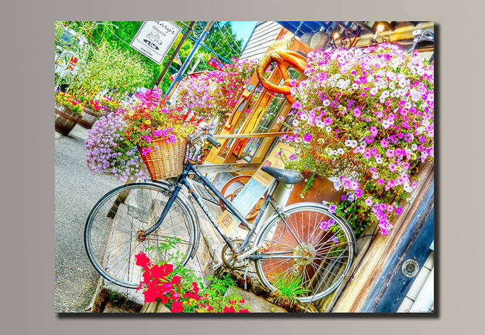 Картина (не розмальовка) HolstArt Велосипед у квітах 54x41,5 см арт.HAS-030, фото 2
